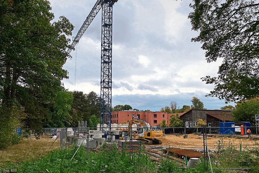 Baukran auf einer Baustelle ziwschen hohen Bäumen