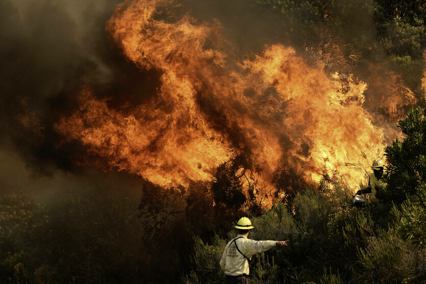 Ein riesiges Feuer frisst einen Wald
