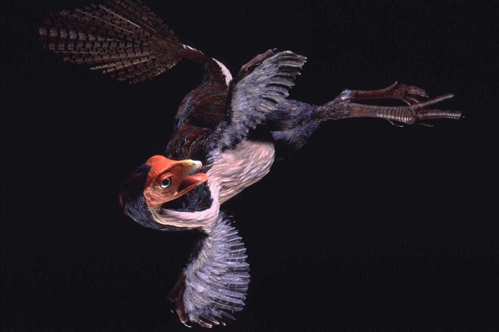 Flugsaurier