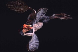 Flugsaurier