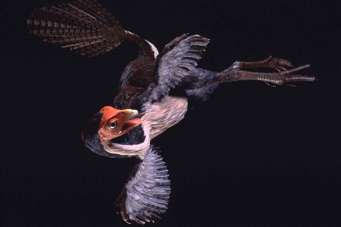 Flugsaurier