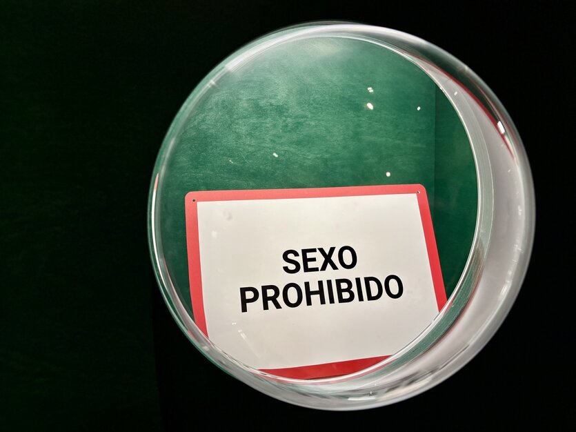 Ein Schild hinter einer Art Bullauge: "Sexo Prohibido"