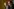 Alexander Dobrindt spricht. Magnus Brunner ist verschwommen im Hintergrund