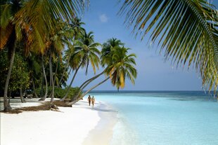 Jemand geht an weißem Strand unter Palmen spazieren