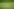 Golfball auf dem Green