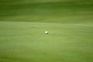 Golfball auf dem Green