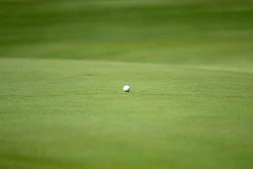 Golfball auf dem Green