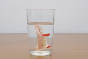 Vampirgebiss im Wasserglas