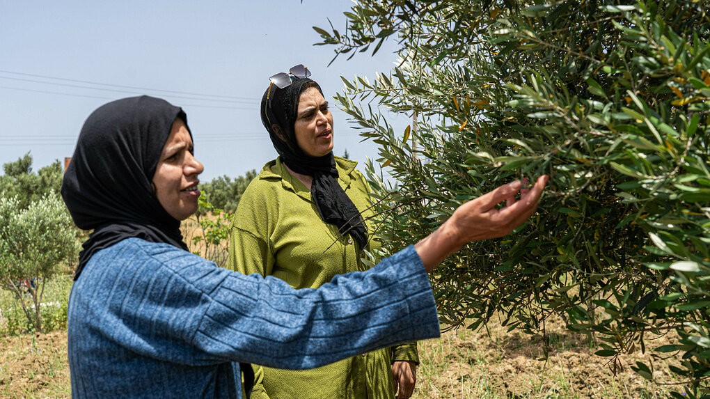 Zwei Frauen und ein Olivenbaum