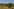 Landschaft mit Olivenbäumen