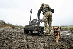 EIn ukrainischer Soldat arbeitet an einer Bodendrohne, ein junger Hundewelpe kommt auf uns zu