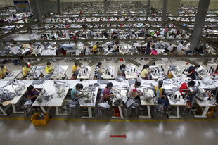 In einer Fabrik in Vietnam arbeiten Hunderte Näher*innen für Adidas