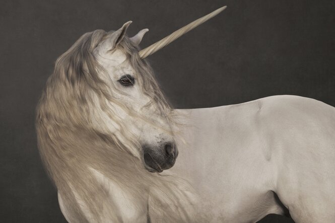 Ein Einhorn