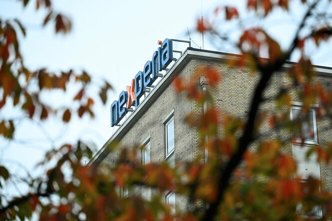 Das Logo der Firma Nexperia hinter Herbstlaub