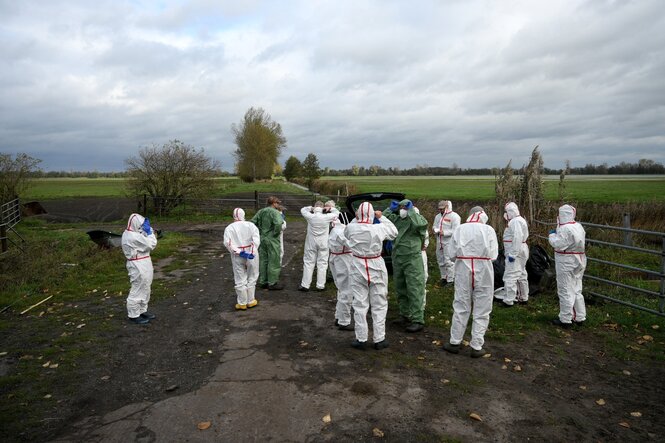 Menschen in weißen Schutzanzügen stehen auf einem Acker
