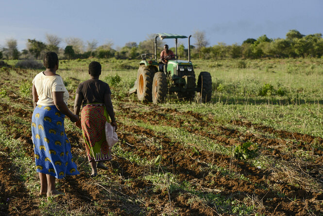 Landwirte auf einem Feld