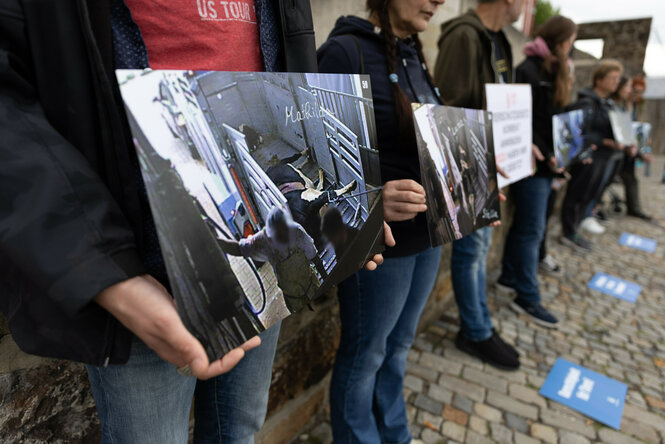 Tierschutzaktivisten stehen mit Fotos (Screenshots) vor dem Amtsgericht Bad Iburg. Wegen Verstößen gegen das Tierschutzgesetz müssen sich der ehemalige Geschäftsführer eines Schlachthofes und fünf Mitarbeiter vor Gericht verantworten.