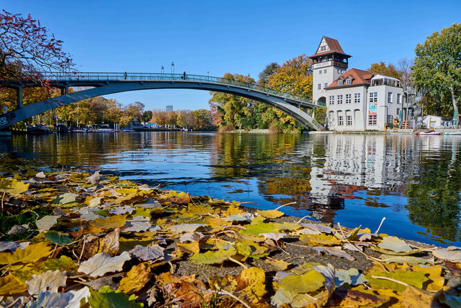 Blick auf die Spree mit Herbstlaub