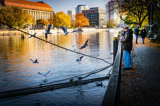 Spaziergänger und Möwen am Spreeufer in Berlin-Mitte