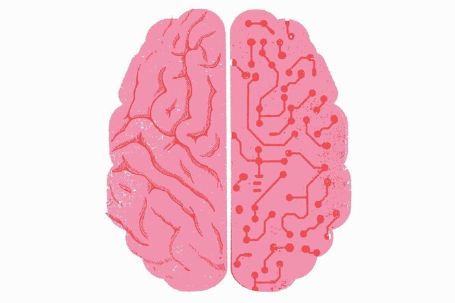 Illustration von zwei Hälften eines Menschlichen Gehirns, eine Hälfte ist wie eine Computerplatine gestaltet