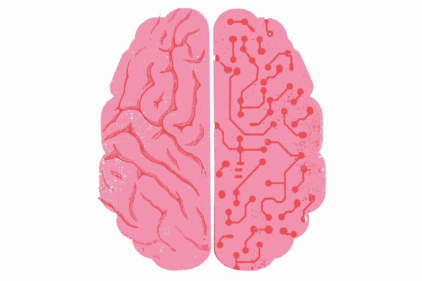 Illustration von zwei Hälften eines Menschlichen Gehirns, eine Hälfte ist wie eine Computerplatine gestaltet