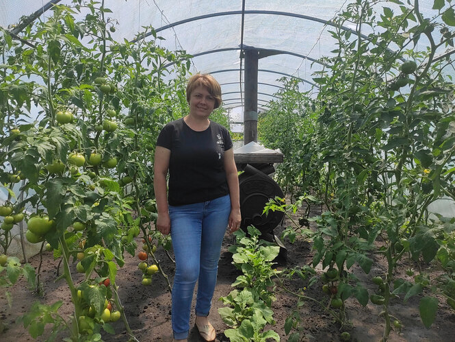 Eine Frau steht in einem Gewächshaus zwischen Tomatenpflanzen vor einem Ofen