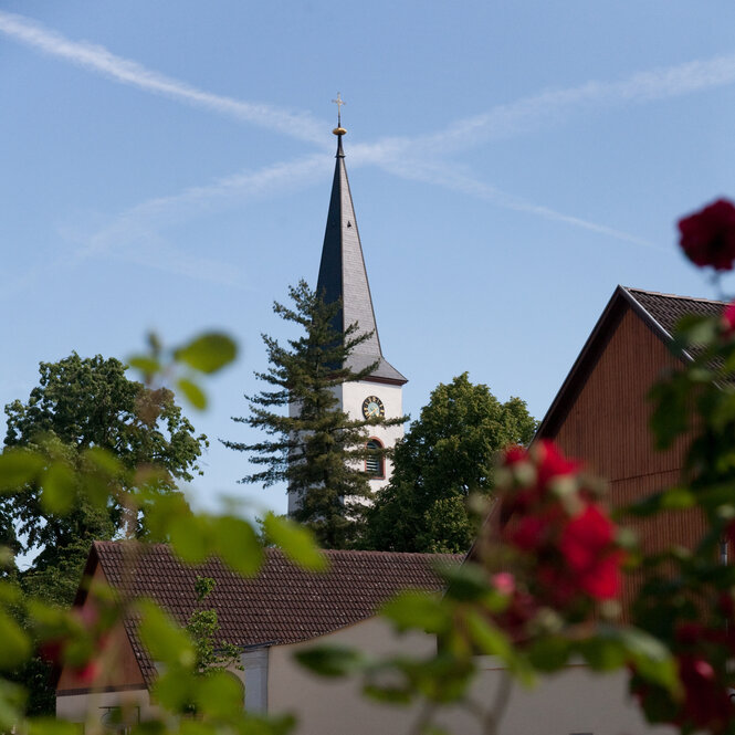 Blick auf eine Kirche in einem Dorf.