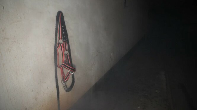 Horror ist ein Weg, die eigene Identität zu ergründen