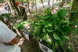 Im Vordergrund rechts eine Tarnhaube mit viel Grünem Laub drauf, präsentiert am „Tag der Bundeswehr“. Links im Hintergrund deutet ein Soldat in Uniform und mit rotem Barett auf dem Kopf darauf.