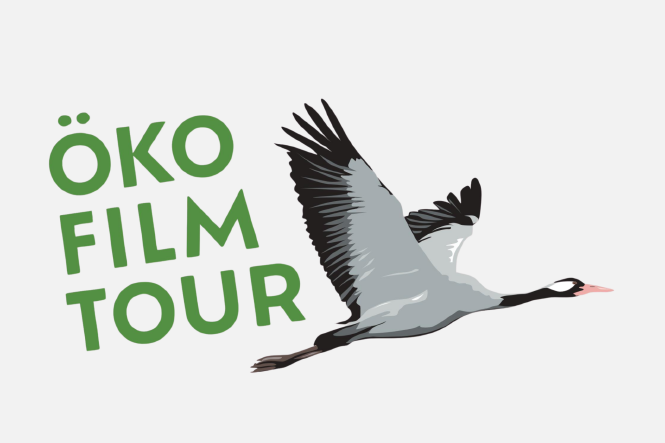 Logo: Der Schriftzug „ÖKOFILMTOUR“ in grün, rechts daneben ein fliegender Storch
