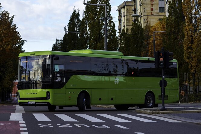 Ein grüner Bus im Straßenverkehr