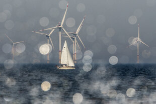 Segelboot mit weissen Segeln vor Offshore Windpark.