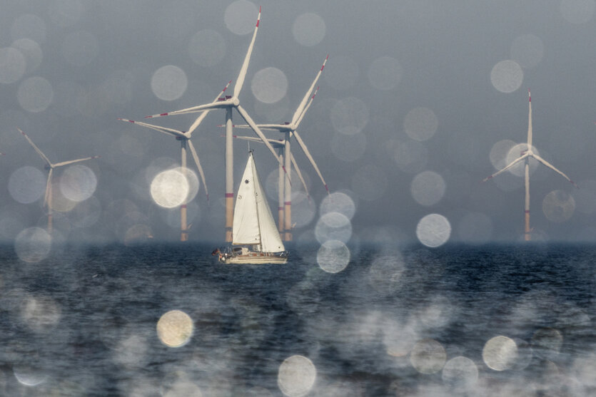 Segelboot mit weissen Segeln vor Offshore Windpark.