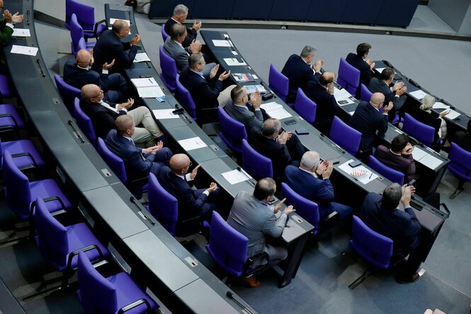 Die Bundestagsfraktion der AfD von hinten gesehen