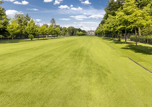 Das Bild zeigt den Blick auf Brandenburger Tor von Westen beider Fußball-EM 2024. Die darauf zführnde Straße ist mit Kunstrasen ausgelegt.