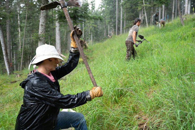 Mehrere Personen arbeiten an einem Hang.