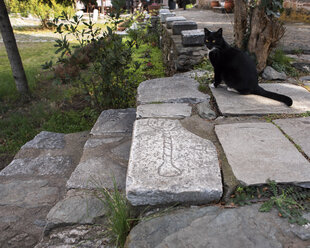 Eine Katze sitzt auf einer Steintreppe.