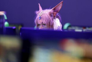 Eine Person schaut auf einen Computerbildschirm