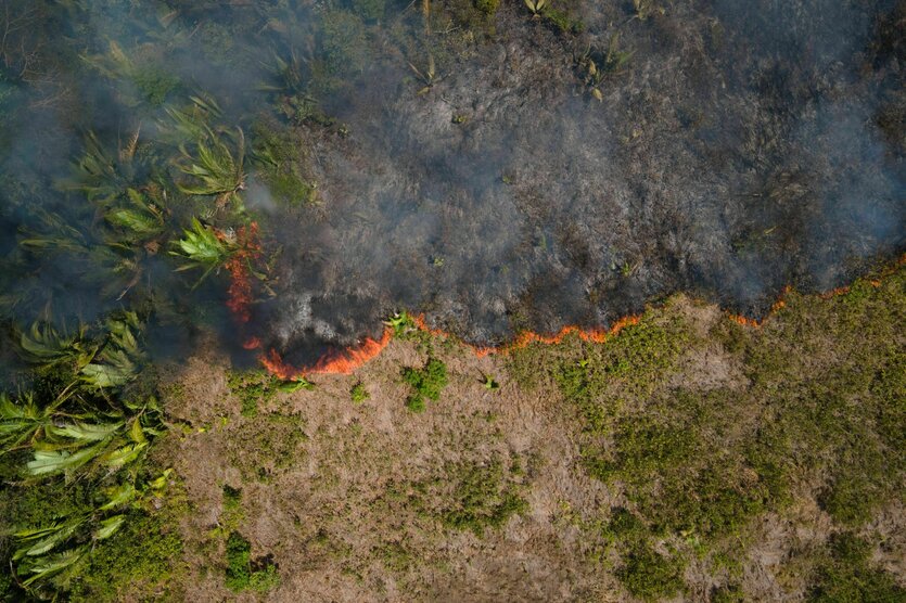 Flammen breiten sich in einem Amazonas-Gebiet aus