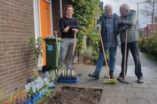 Drei menschen stehen vor einem Haus, sie haben gerade Pflasterstein entfernt um Blumen und einen baum zu pflanzen