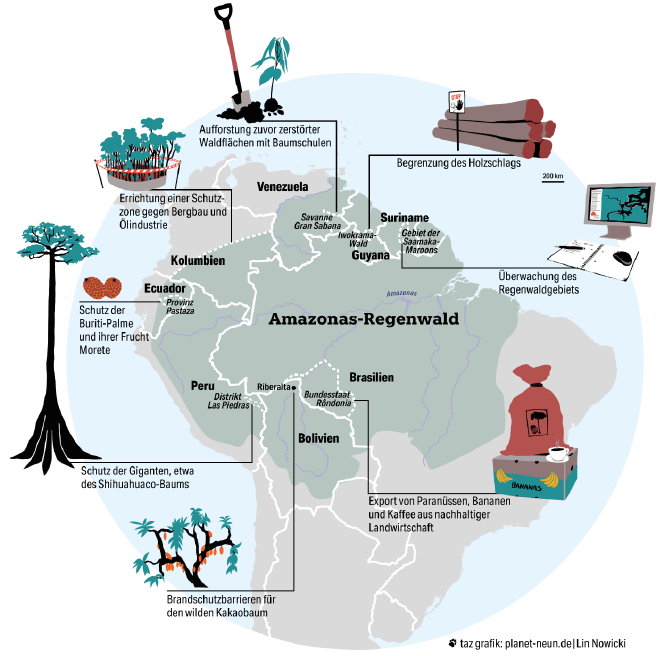 Abbild der Karte vom Amazonas. Der erstreckt sich über 9 Länder des südamerikanischen Kontinents, in Venezuela, Kolumbien, Guyana, Surina, Französisch Guyana, Ecuador, Peru, Bolivien und natürlich Brasilien. In der Grafik sind Bilder von den Beispielen für Waldschutz zu sehen, wie der Shihuahuaco Baum, der geschützt werden soll in Peru. Oder Suriname, wo Indigene mit Satellitenbildern den Wald schützen.