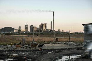 Ziegen grasen in der Siedlung Wonderkop in Marikana, der Boden ist unbefestigt, eine Wellblechhütte ist im Anschnitt zu sehen. Im Hintergrund die Platinmine Sibanye-Stillwater. Der Schornstein raucht