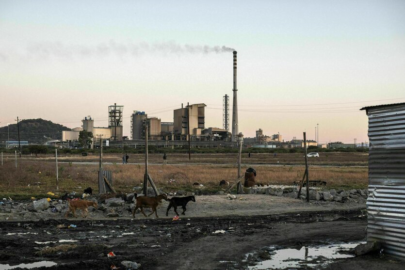 Ziegen grasen in der Siedlung Wonderkop in Marikana, der Boden ist unbefestigt, eine Wellblechhütte ist im Anschnitt zu sehen. Im Hintergrund die Platinmine Sibanye-Stillwater. Der Schornstein raucht