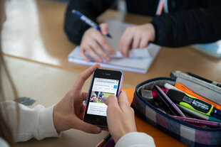 Ein Schulkind googelt im Unterricht: „wie alt werden schildkröten“.