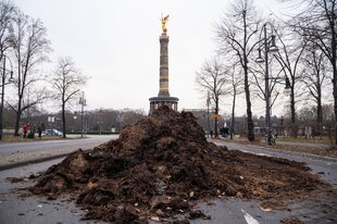 Haufen voll Gülle auf einer Straße vor der Siegessäule in Berlin. Links und rechts daneben sind kahle Baumreihen. Kontext: Die Siegessäule ist ein hoher Turm, dessen Spitze eine goldene Engelsstatue bildet.