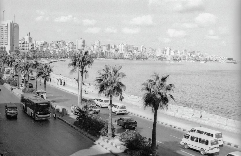 Autos an einer Straße mit Palmen vor einer Strandbucht, im Hintergund hohe Häuser