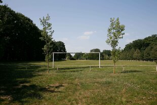 Ein Rasenplatz mit Bäumen drumherum