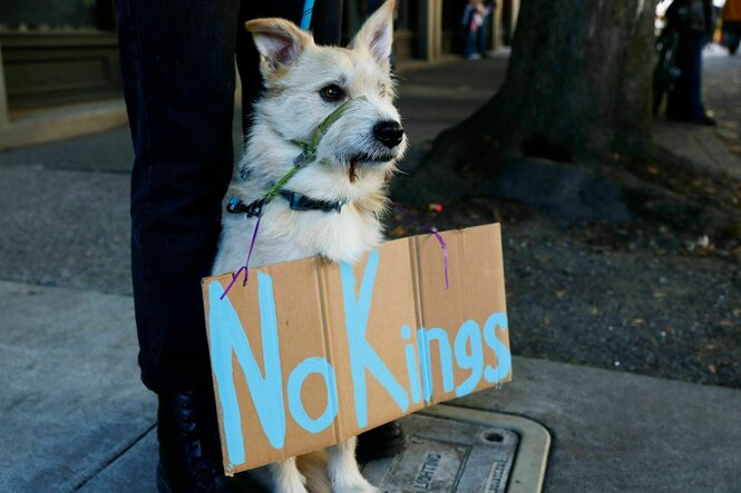 Ein Hund trägt ein Schild, auf dem steht: No Kings