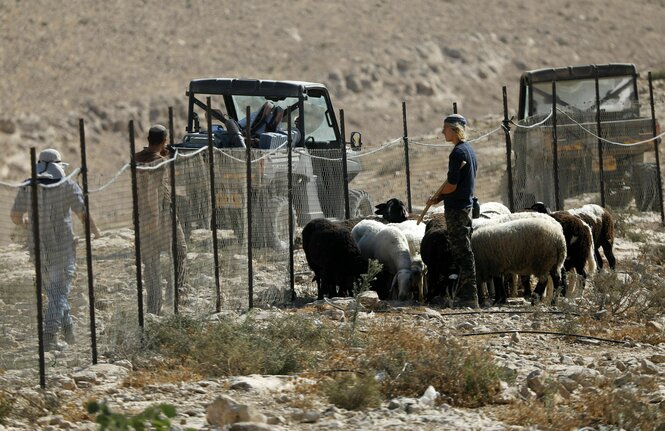 Schafe grasen an einem Zaun, der von Soldaten bewacht wird