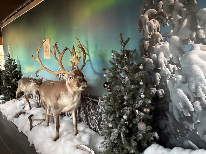 Ein Rentier aus Plastik steht in einer kitschigen Weihnachtsdeko mit Plastikschnee und Tannenbaum
